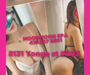 1 MP300x250.webp