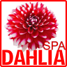 DAHLIA Spa, 4710 Yonge St, 2nd Floor (South of Sheppard) JP CH KR